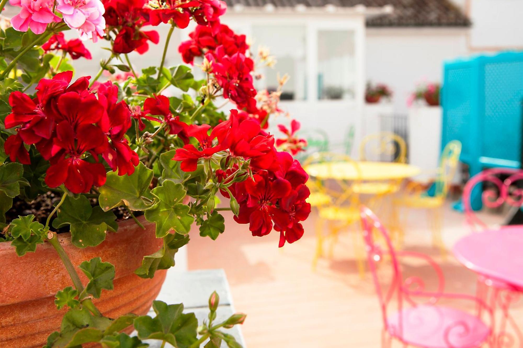 Casual De Las Letras Sevilla By Casual Hoteles — Photos 2